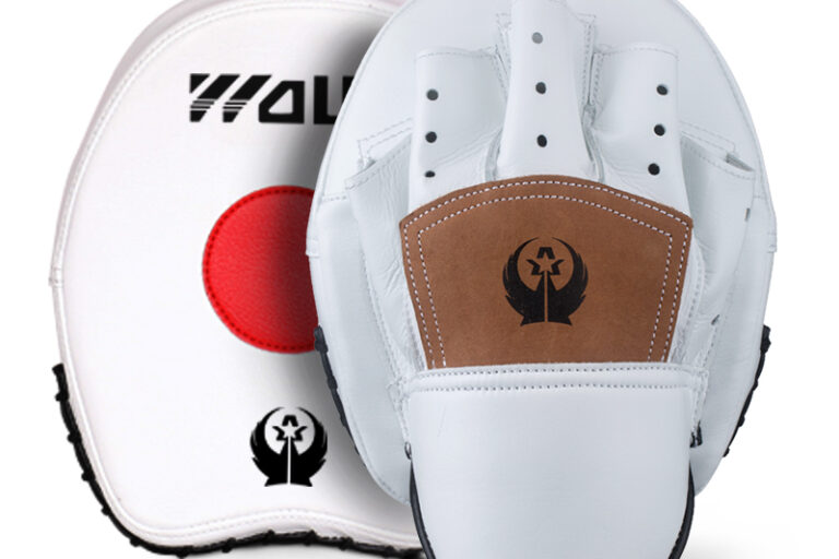 Boxing training equipment focus pad (3)