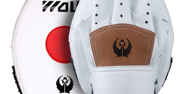 Boxing training equipment focus pad (3)