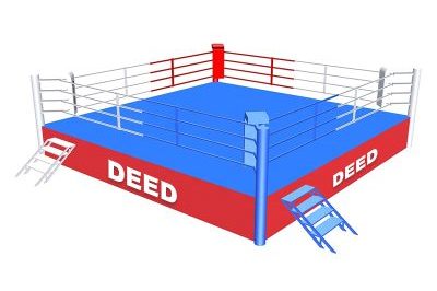 Dealer best price training boxing ring (5)