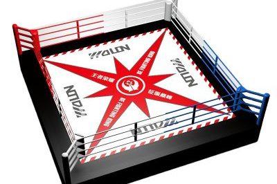 Factory custom martial arts boxing ring (5)