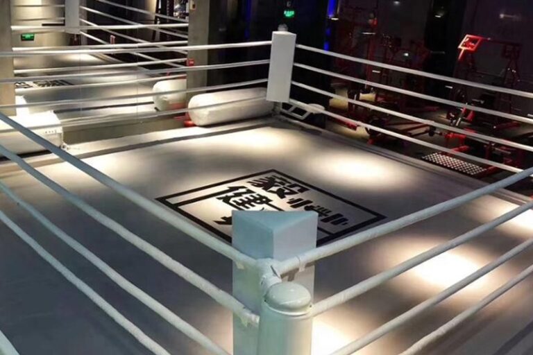 Gym fights using boxing ring (2)