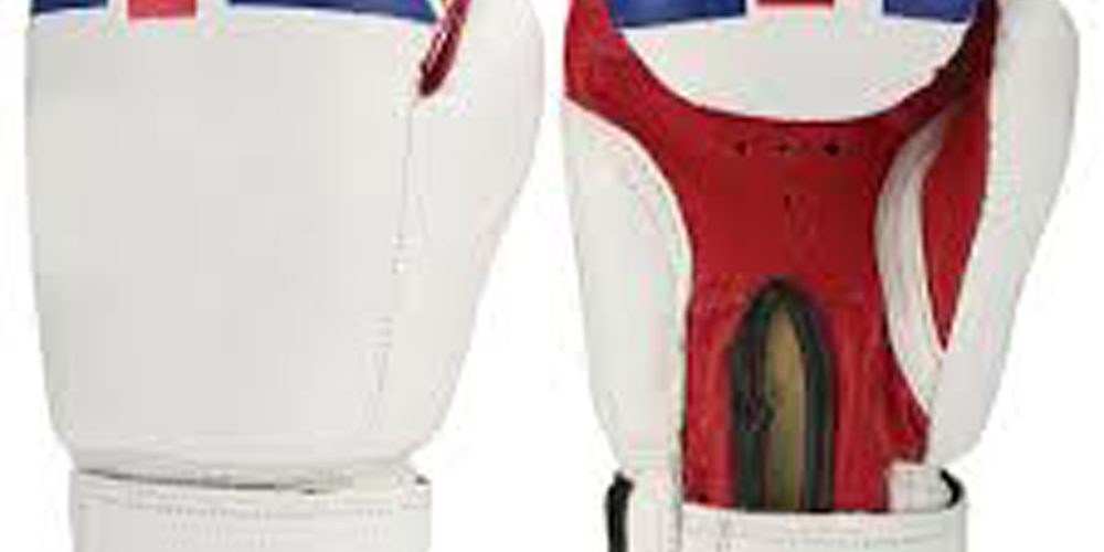 High quality multi-size boxing leather gloves (3)