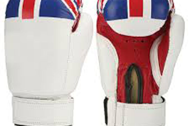 High quality multi-size boxing leather gloves (3)