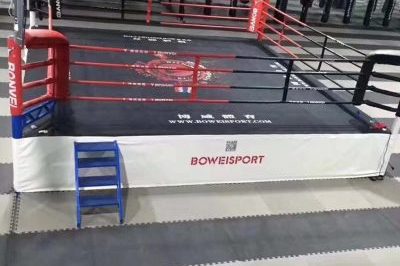 Hot selling martial arts event boxing ring (1)
