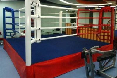 Internationally recognized standard boxing ring (6)
