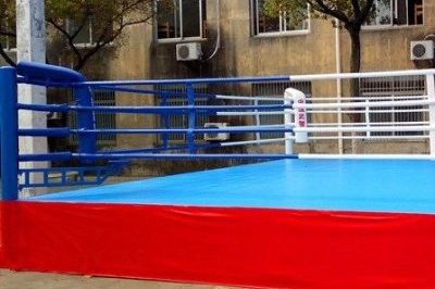Outdoor leather protective boxing ring (1)
