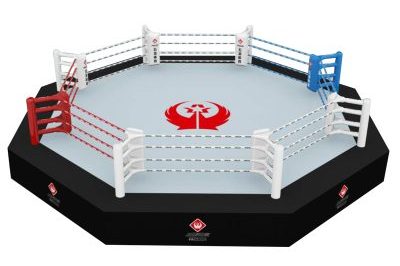 Professional Competition Octagonal Durable Boxing Ring (3)