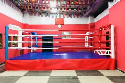 Professional Corner Pad Boxing Ring (2)