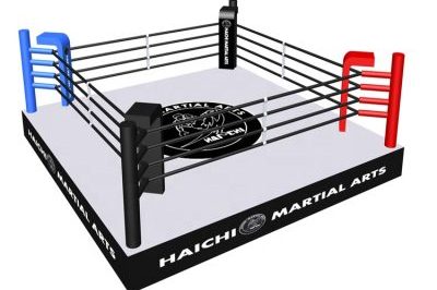 Standard Rugged and Durable Boxing Ring (4)