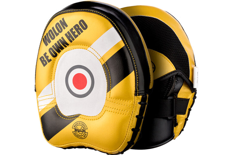 Taekwondo training boxing fighting target pad (3)