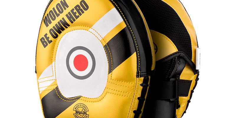 Taekwondo training boxing fighting target pad (3)