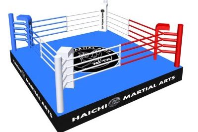 hot sale european standard size boxing ring (5)