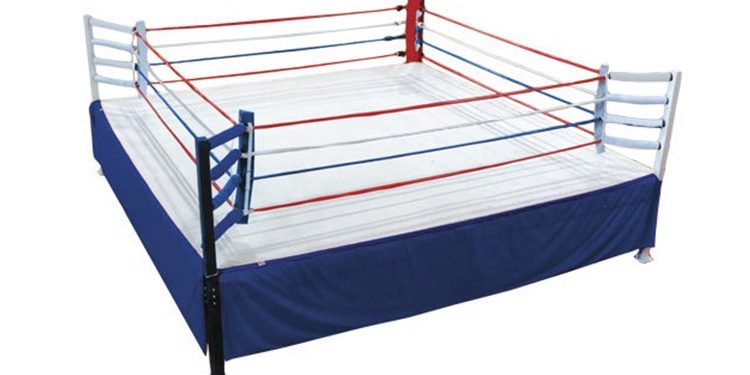 low price high quality boxing ring (5)