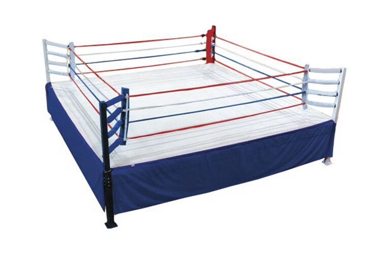 low price high quality boxing ring (5)
