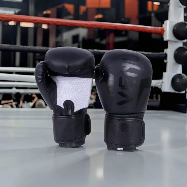 Professional Boxing Gloves Manufacturer