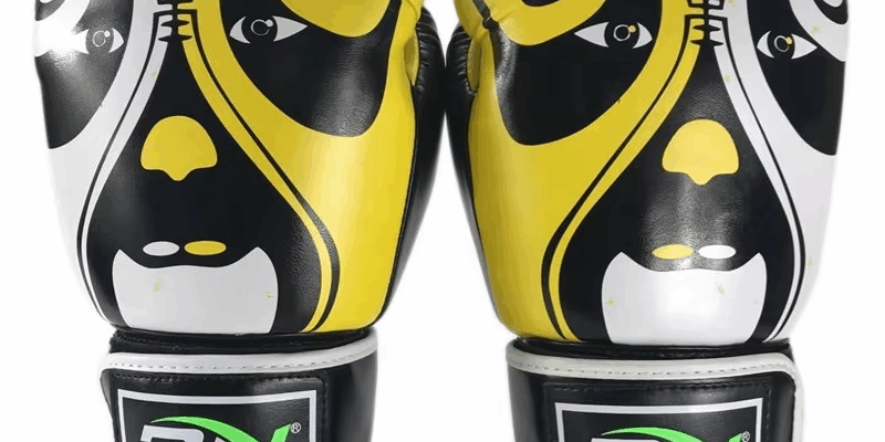 BN Boxing Gloves for Thai