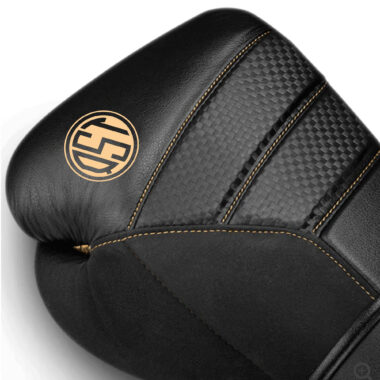 Professional Boxing Gloves Manufacturer