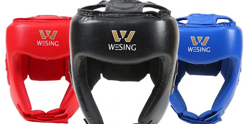 Professional Wesing Boxing Head Guard