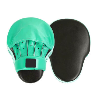 Professional Boxing Practice Pads