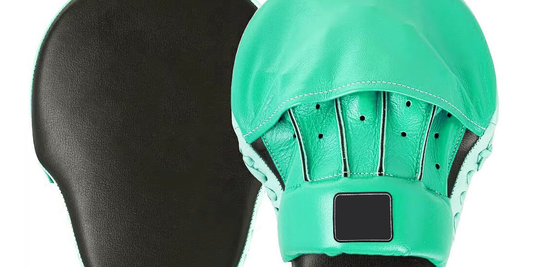 Professional Boxing Practice Pads