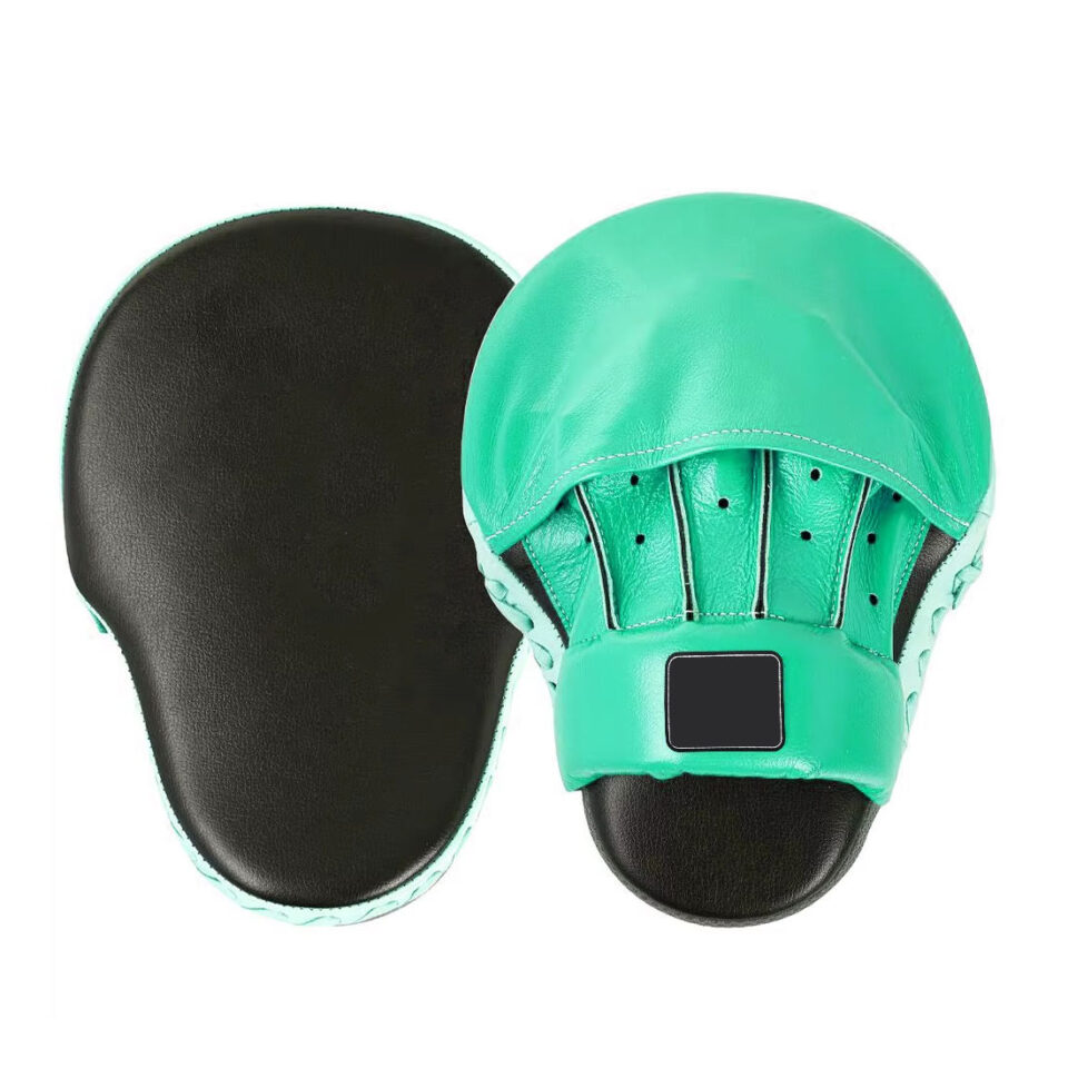 Professional Boxing Practice Pads