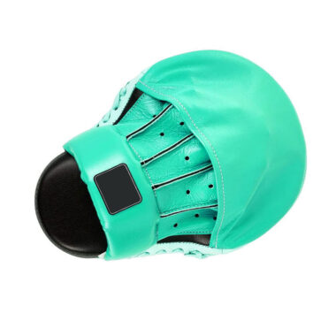 Professional Boxing Practice Pads