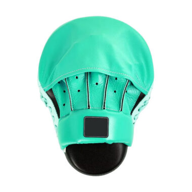 Professional Boxing Practice Pads