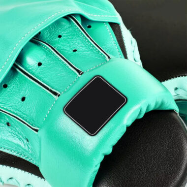 Professional Boxing Practice Pads