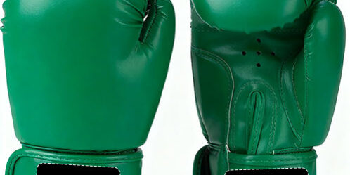 Professional Thai Boxing Gloves Supplier for Training Sparring (6) Boxing Gloves for Training and Sparring