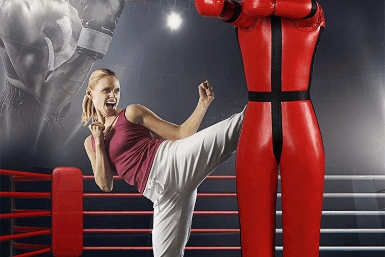 Grappling MMA Wrestling Dummy