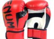 Premium Leather Boxing Gloves for Men
