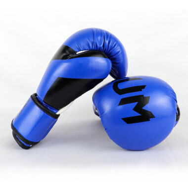 Premium Leather Boxing Gloves for Men