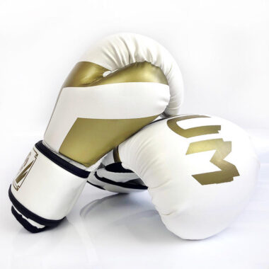 Premium Leather Boxing Gloves for Men