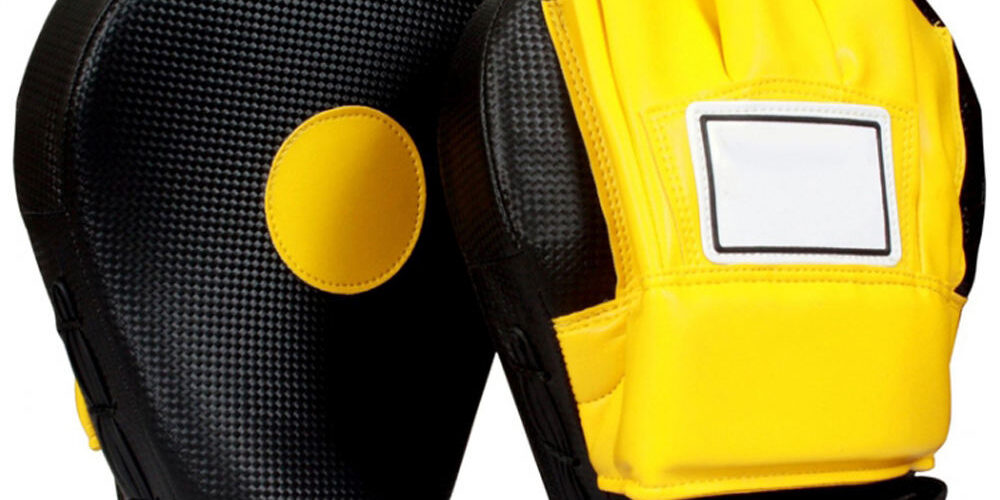 Boxing Focus Pads for Training