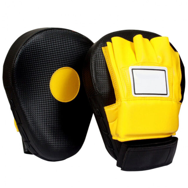 Boxing Focus Pads for Training